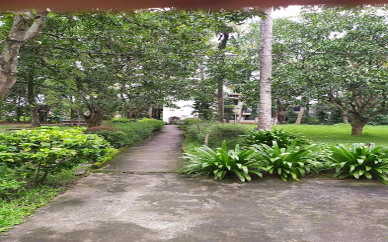 Coorg Green Farm Resort Kushālnagar Buitenkant foto